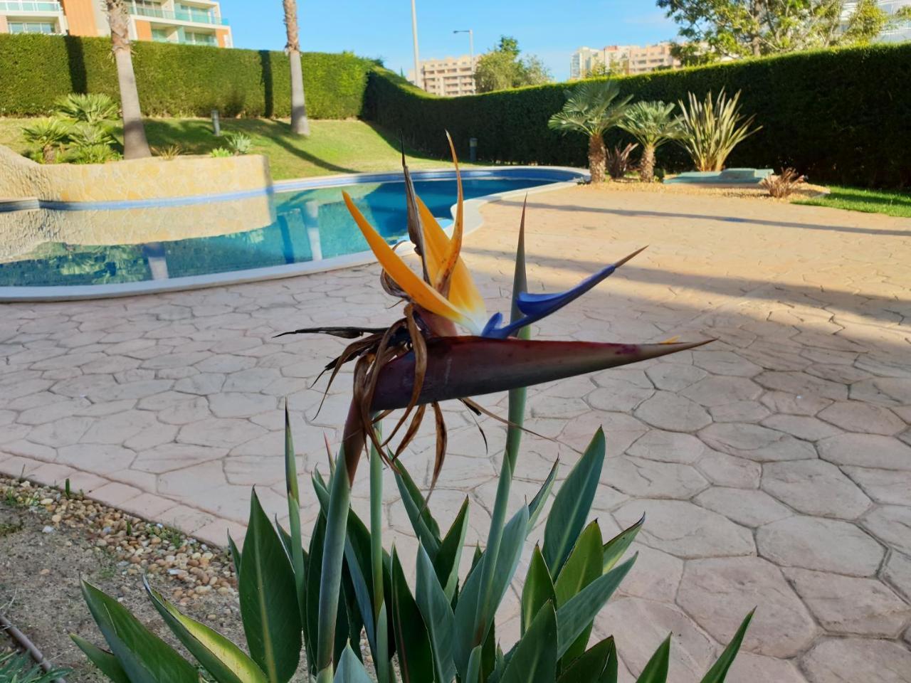 Litoral Mar Apartment Portimao Ngoại thất bức ảnh